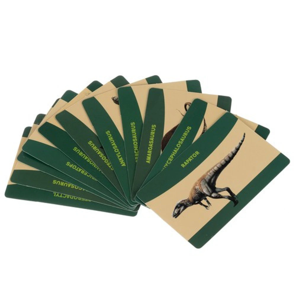 Dinosaurier-Karten aus dem Kruzzel Ausgrabungsset